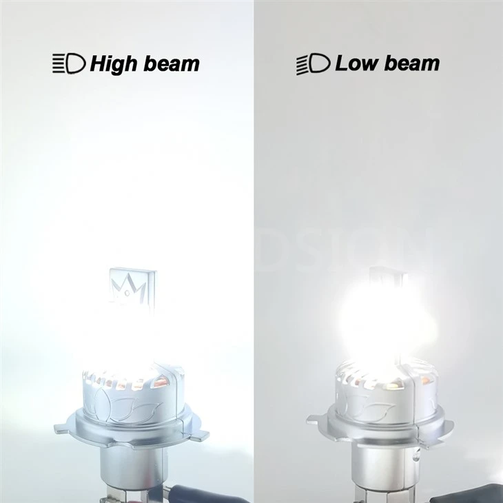 Ruiandsion led car light bulb Ruiandsion led car light bulb